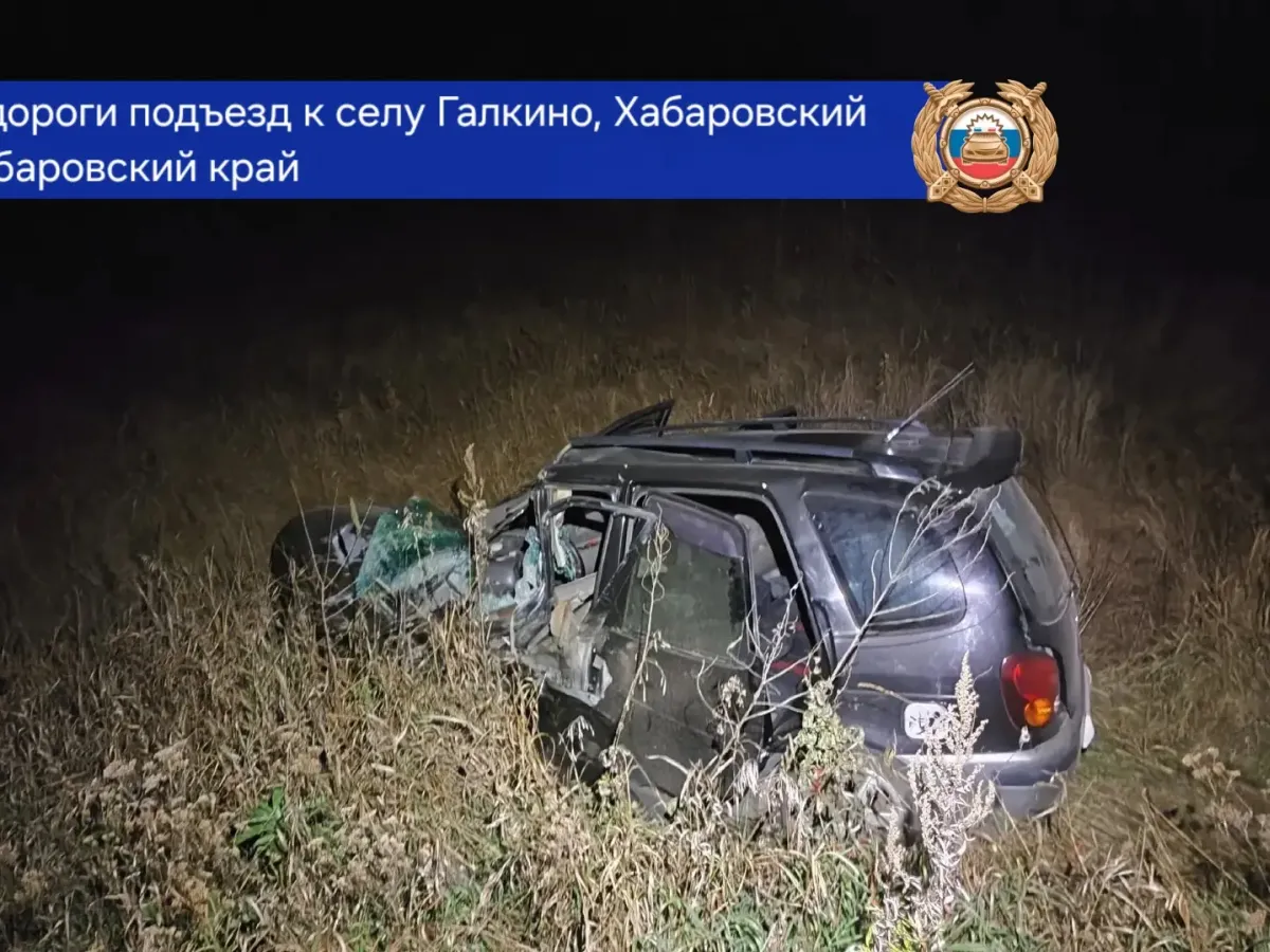 В лобовом столкновении в Хабаровском районе погибли два пассажира
