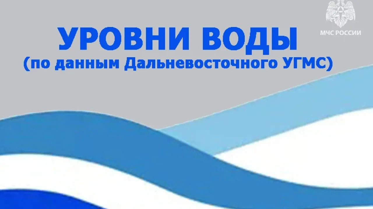 МЧС опубликовало уровни воды на Амуре в Хабаровском крае на 15 сентября — Хабаровск Сейчас