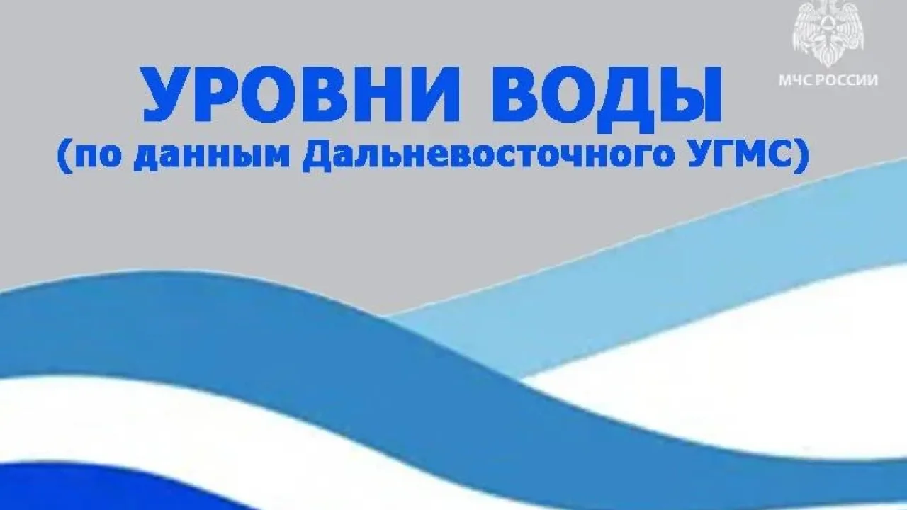 МЧС: в Хабаровском крае продолжают мониторинг паводковой обстановки на Амуре — Хабаровск Сейчас