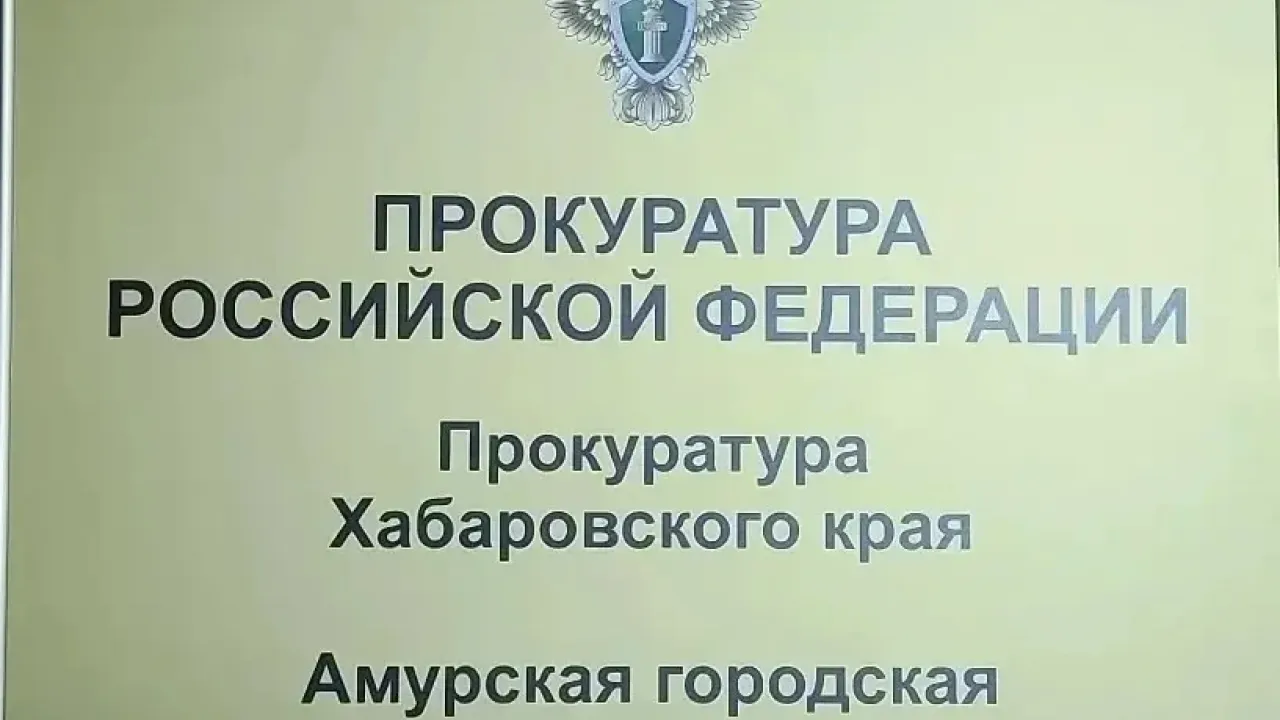 В Амурске механика лесопромышленной компании будут судить по делу о травме рабочего — Хабаровск Сейчас