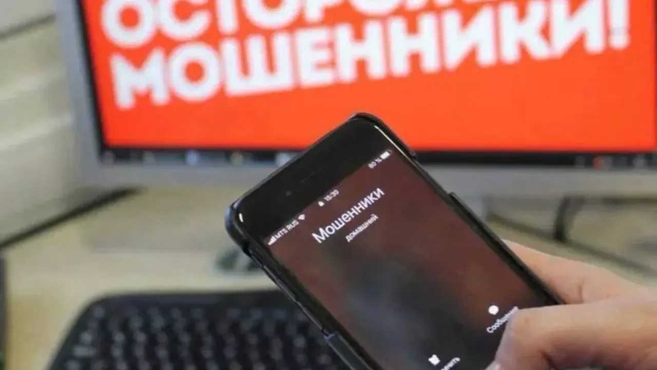 В Хабаровске расследуют мошенничества с арендой жилья и кражу более 300 тысяч рублей — Хабаровск Сейчас