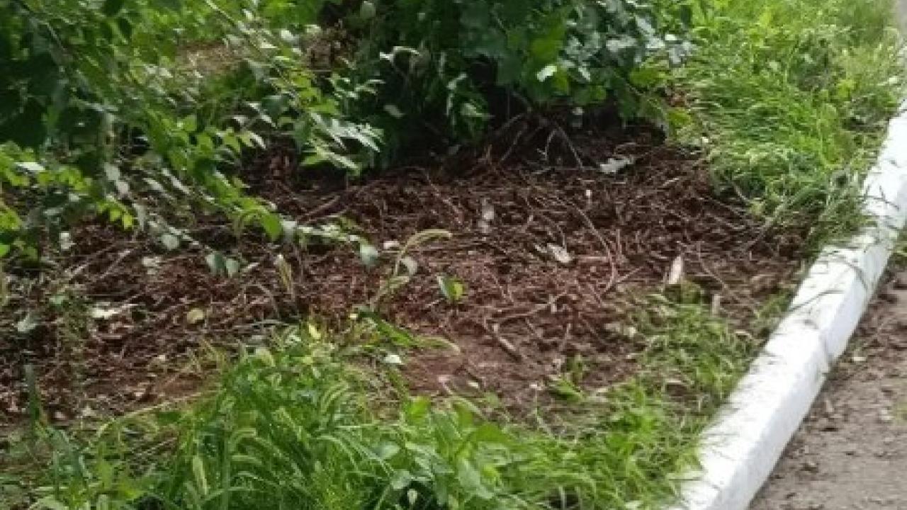 В переулке Кедровом вывезли мусор после обращения жительницы — Хабаровск Сейчас