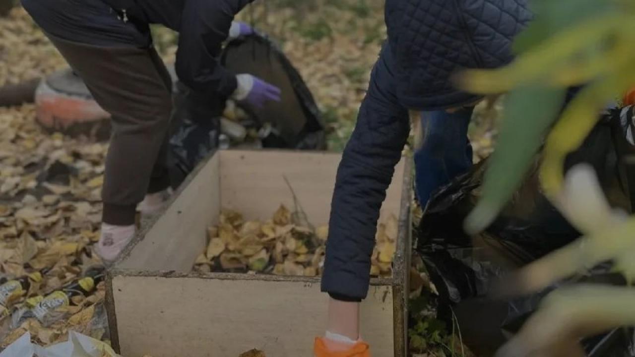 В Хабаровске более 37 тысяч жителей участвовали в осенней уборке города — Хабаровск Сейчас