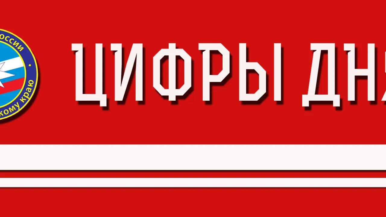 МЧС сообщило о 17 техногенных пожарах за сутки в Хабаровском крае — Хабаровск Сейчас
