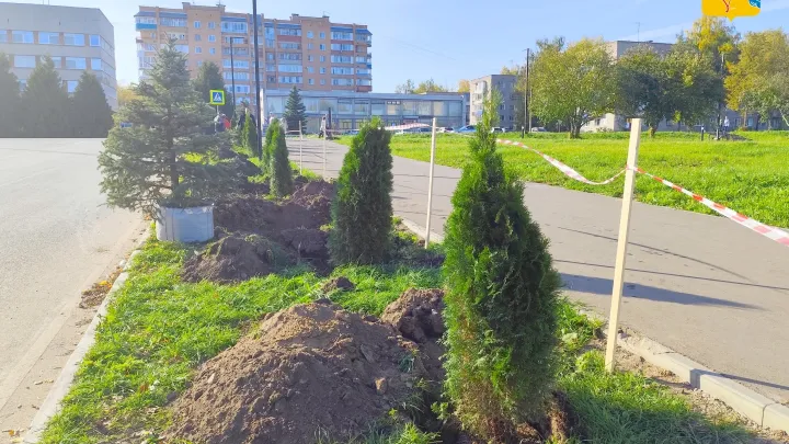 В Кирово-Чепецке вдоль улицы Терещенко появилась новая аллея — Киров Сейчас