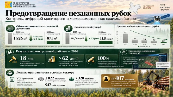 В Кировской области снизился объём незаконно заготовленной древесины — Киров Сейчас