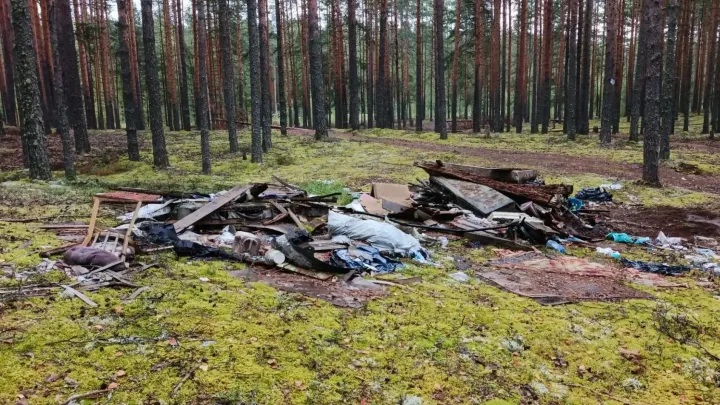 В Кировской области ликвидировали 25 лесных свалок в 2026 году — Киров Сейчас