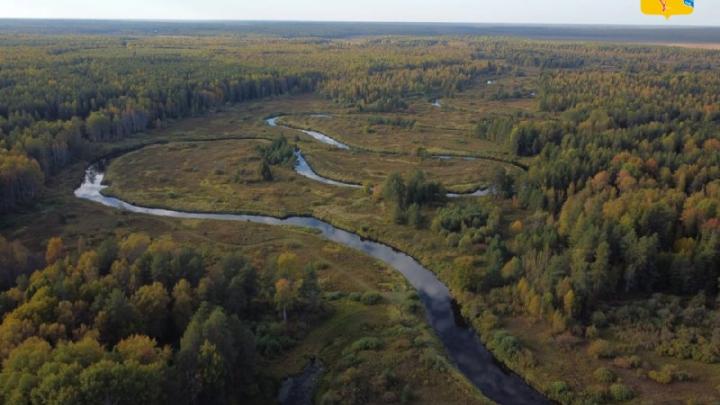 В Кировской области согласовали границы будущего нацпарка «Былина» — Киров Сейчас