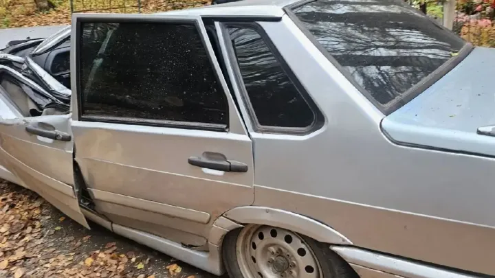 В Орлове дерево упало на автомобиль, пассажира пришлось освобождать спасателям — Киров Сейчас