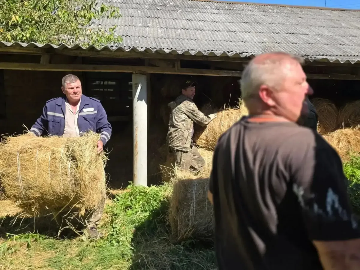 В природных заказниках Краснодарского края сформировали кормовую базу для животных