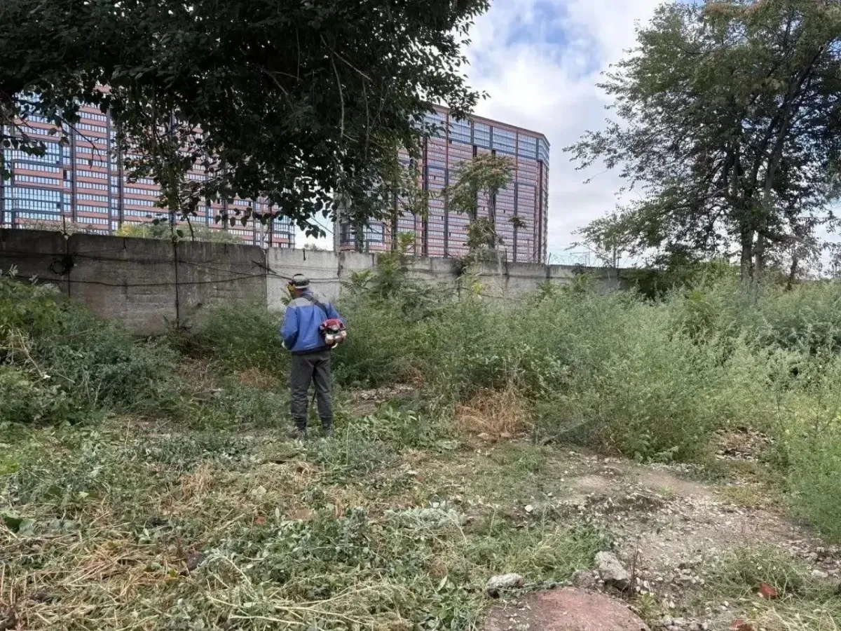 В Краснодаре за полгода скосили более 33 тысяч гектаров сорняков