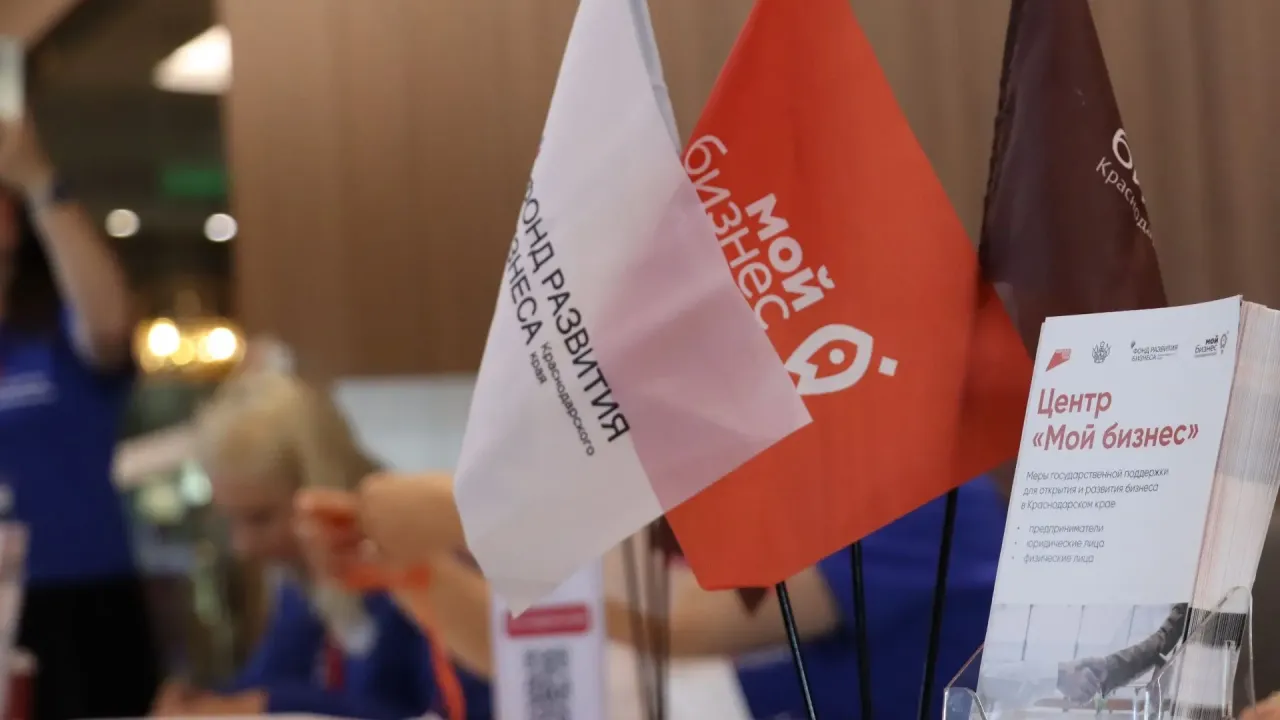 Кубанский бизнес привлек 1,6 млрд рублей на инвестпроекты с начала 2026 года — Краснодар Сейчас