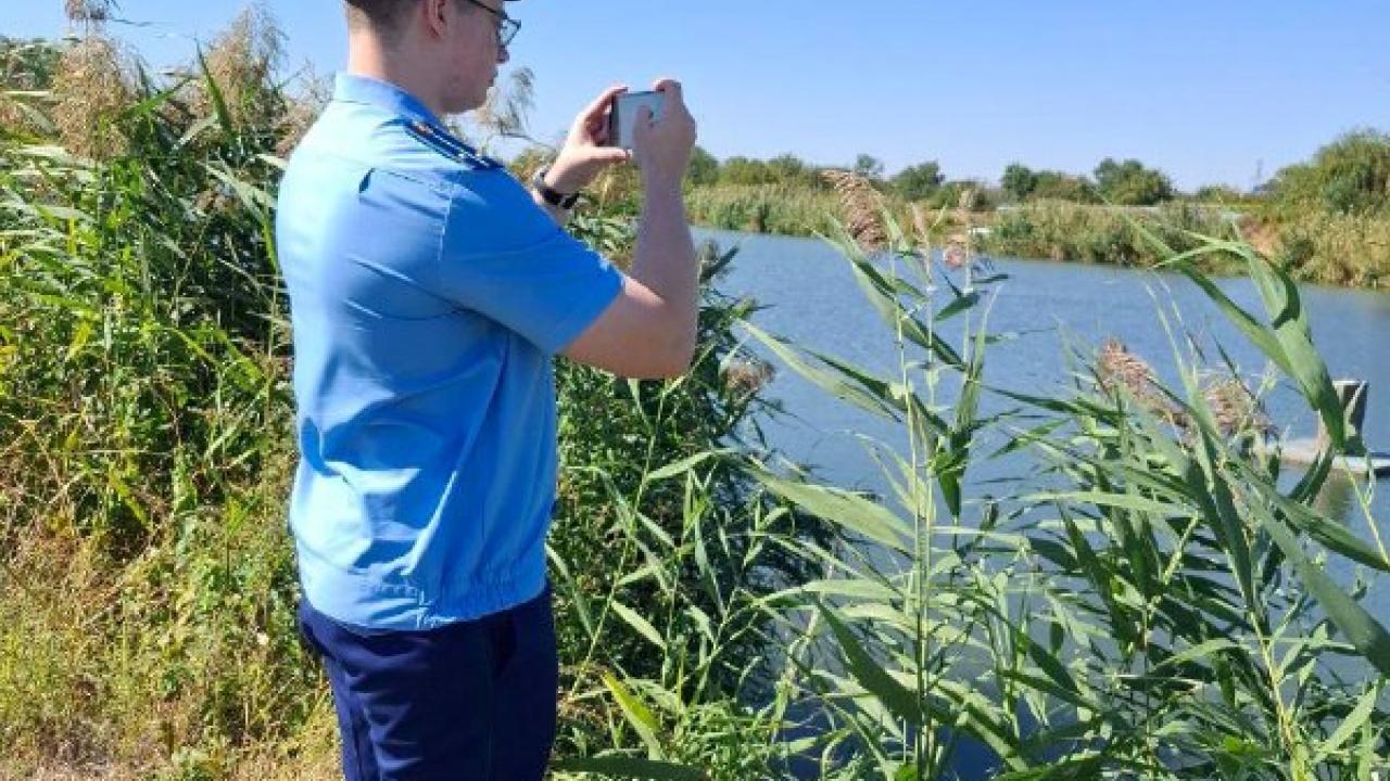 Прокуратура Гулькевичского района контролирует расчистку русел рек — Краснодар Сейчас
