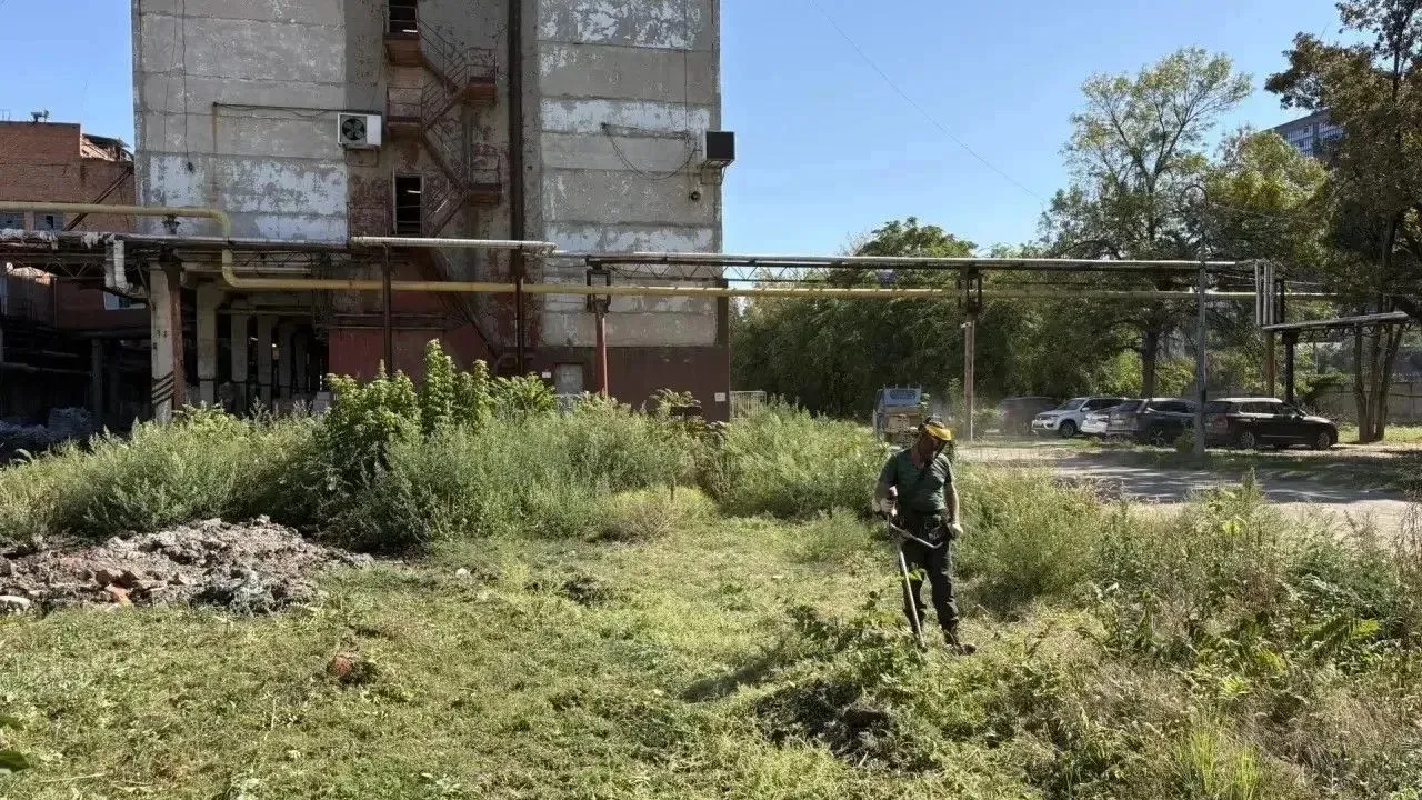 В Краснодаре за полгода скосили более 33 тысяч гектаров сорняков — Краснодар Сейчас