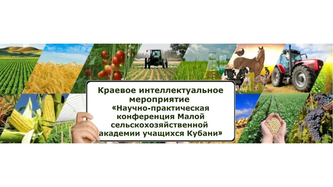 Продолжается прием работ на краевой этап научно-практической конференции учащихся Кубани — Краснодар Сейчас