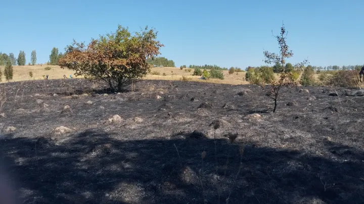 В Обоянском районе ликвидировали две угрозы возгорания у гослесфонда — Курск Сейчас