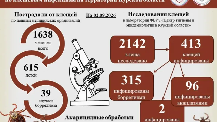 В Курской области с начала сезона 1638 человек пострадали от укусов клещей — Курск Сейчас