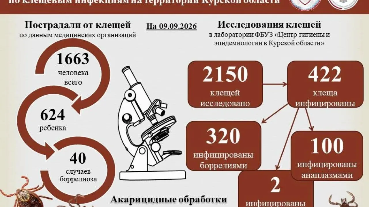 В Курской области с укусами клещей к врачам обратились 1663 человека — Курск Сейчас
