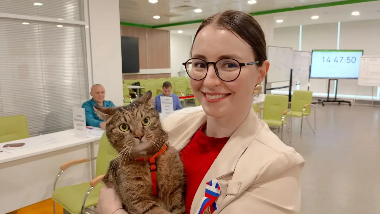 На избирательном участке №86 в Курске вместе с комиссией «работает» кот Тони — Курск Сейчас