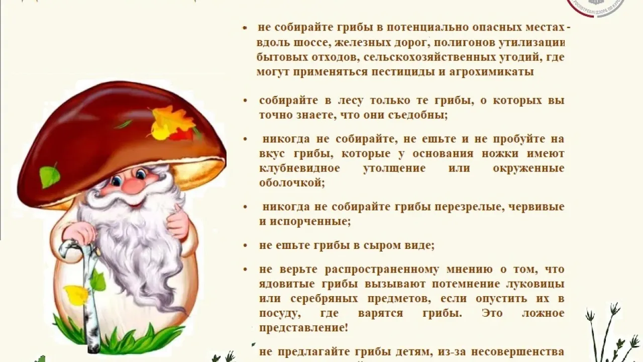 Роспотребнадзор сообщил о 6 случаях отравления дикорастущими грибами в Курской области — Курск Сейчас