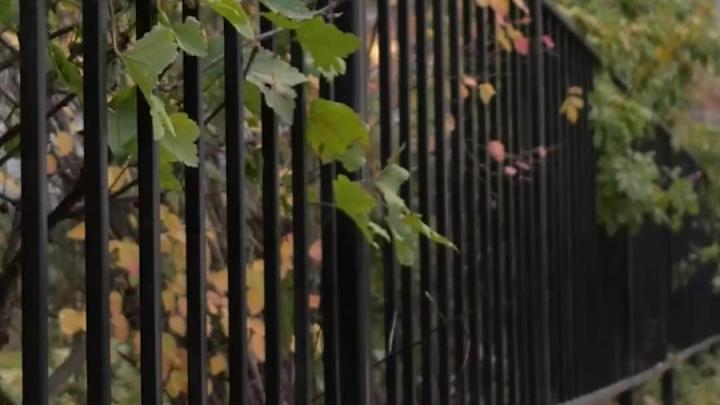 В Мурманске до конца года реализуют 155 инициатив жителей — Мурманск Сейчас