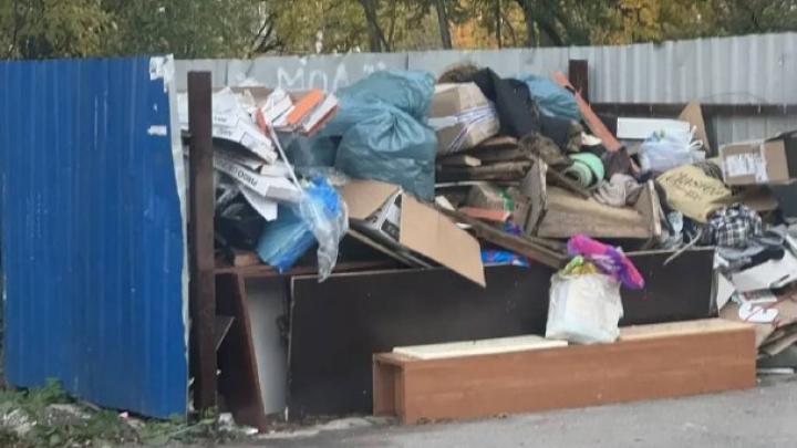 Природоохранная прокуратура выявила нарушения в работе регоператора по обращению с ТКО — Мурманск Сейчас