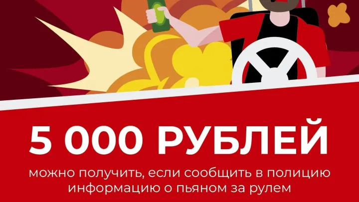 С начала года 7 жителей получили выплату за сообщение о пьяном водителе — Мурманск Сейчас