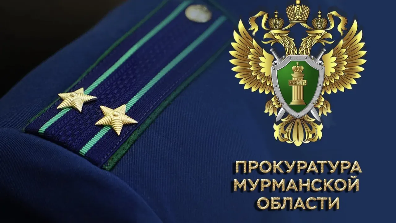Жителя Санкт-Петербурга осудили за мошенничество с социальной выплатой — Мурманск Сейчас
