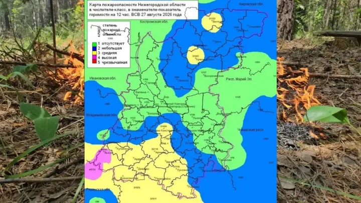В лесах Нижегородской области установились 1–4 классы пожароопасности — Нижний Новгород Сейчас