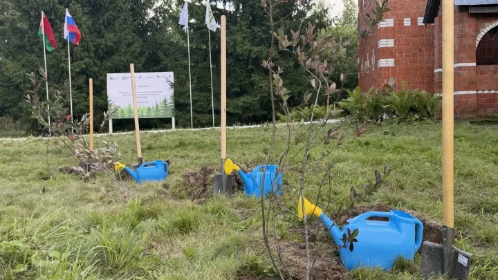 В Богородском округе высадили деревья в рамках акции «Сохраним лес» — Нижний Новгород Сейчас