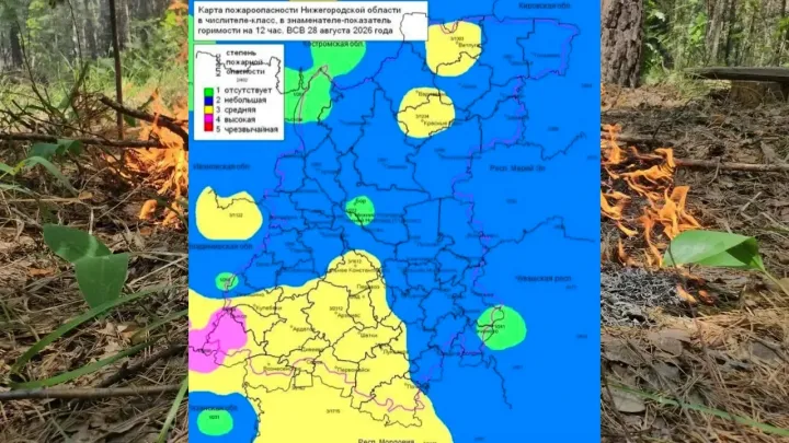 В лесах Нижегородской области установлены классы пожароопасности от 2 до 4 — Нижний Новгород Сейчас