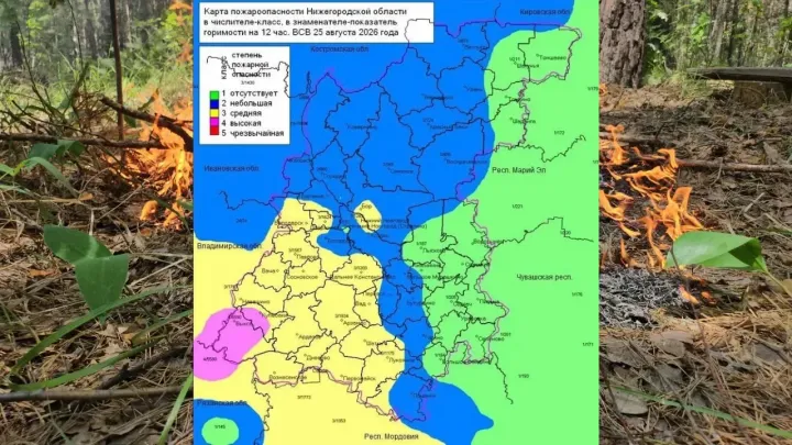 Четвертый класс пожароопасности установился в лесах двух округов Нижегородской области — Нижний Новгород Сейчас