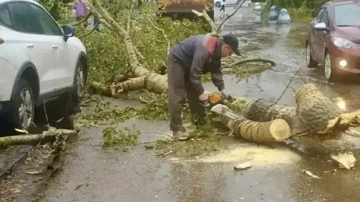 В Нижнем Новгороде прошёл смерч — Нижний Новгород Сейчас