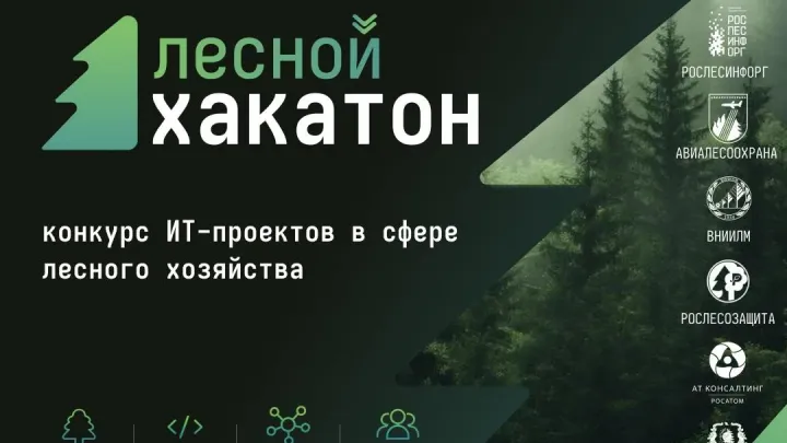 Первый в России Лесной хакатон стартует в Нижегородской области — Нижний Новгород Сейчас
