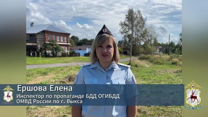 В Выксе полицейские задержали нетрезвого водителя без прав после погони — Нижний Новгород Сейчас