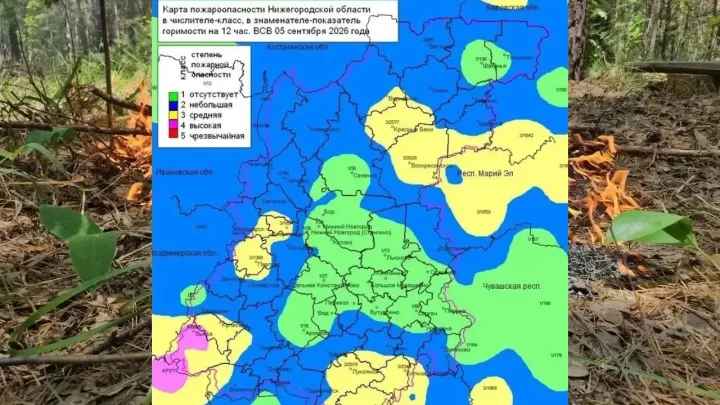 В лесах Нижегородской области установились 1–4 классы пожароопасности — Нижний Новгород Сейчас