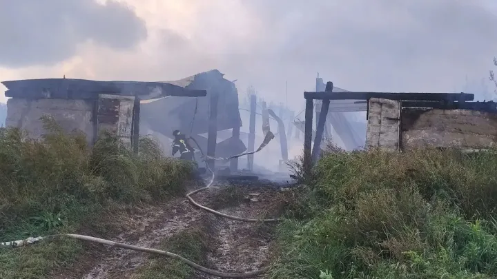 В Большеболдинском округе потушили пожар на ферме в Кондрыкине — Нижний Новгород Сейчас