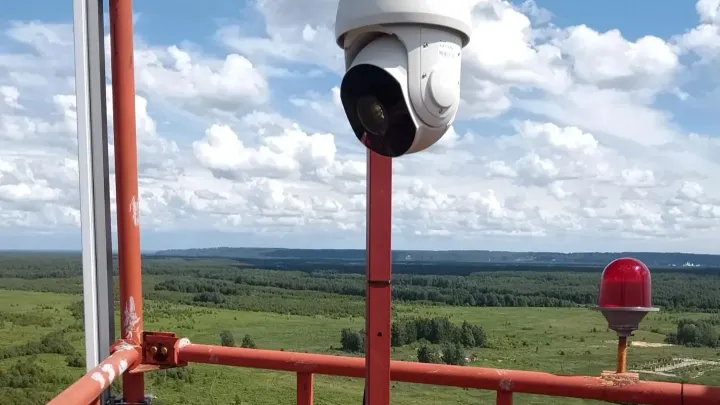 Число камер для мониторинга лесных пожаров в Нижегородской области увеличили до 205 — Нижний Новгород Сейчас