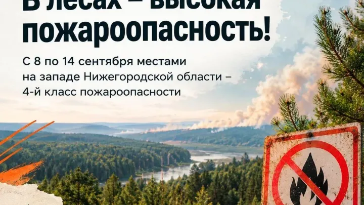 На западе Нижегородской области сохранится высокая пожароопасность лесов — Нижний Новгород Сейчас