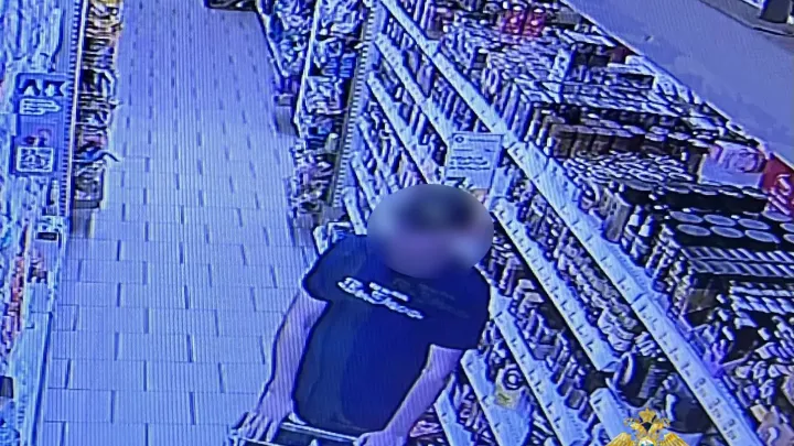В Починках раскрыли серию краж детского питания из магазинов — Нижний Новгород Сейчас