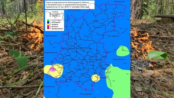 В лесах Нижегородской области установились 2, 3 и 4 классы пожароопасности — Нижний Новгород Сейчас