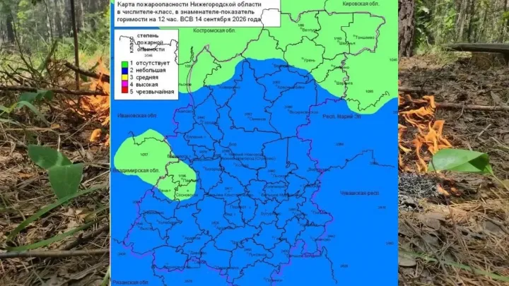 В лесах Нижегородской области установился 2-й, местами 1-й класс пожароопасности — Нижний Новгород Сейчас