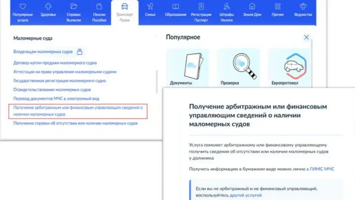 Финансовые и арбитражные управляющие смогут получать справки о маломерных судах онлайн — Нижний Новгород Сейчас
