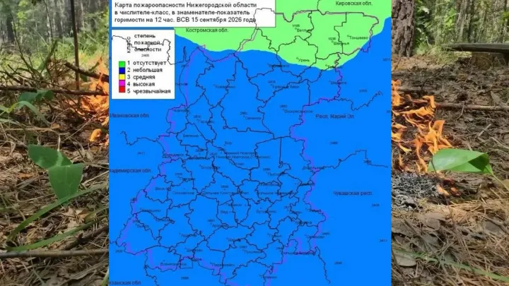 В лесах Нижегородской области установился 2-й, местами 1-й класс пожароопасности — Нижний Новгород Сейчас