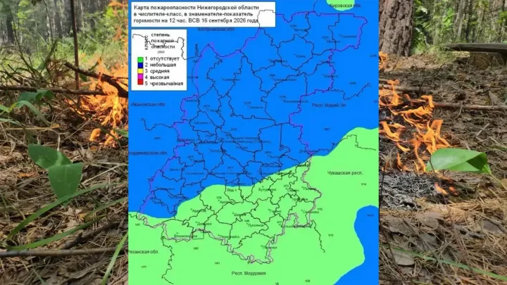 В лесах Нижегородской области установился 2-й, местами 1-й класс пожароопасности — Нижний Новгород Сейчас