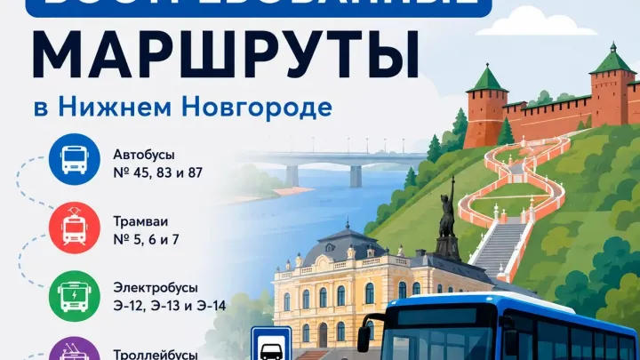 Названы самые популярные маршруты общественного транспорта Нижнего Новгорода в августе — Нижний Новгород Сейчас