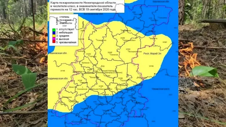 В лесах Нижегородской области установлен 3-й и местами 2-й класс пожароопасности — Нижний Новгород Сейчас