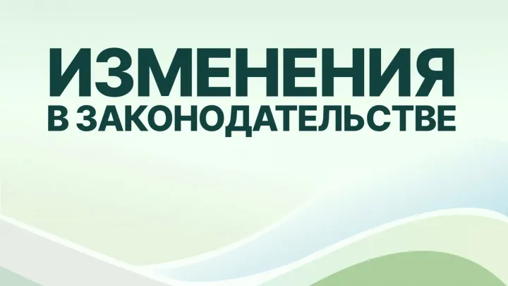 Вступили в силу обновленные правила пожарной безопасности в лесах — Нижний Новгород Сейчас