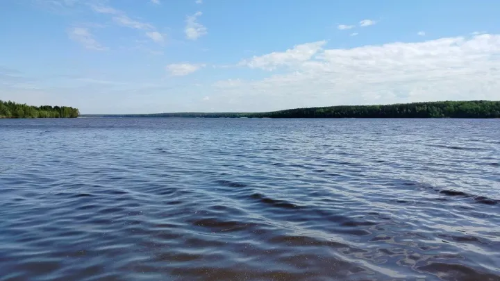 В Нижегородской области в 2026 году промысел ведут 18 пользователей на 30 участках — Нижний Новгород Сейчас