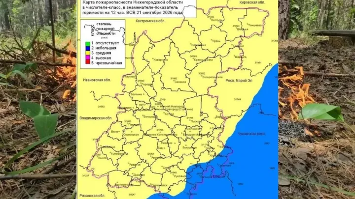 В лесах Нижегородской области установился 3-й, местами 2-й класс пожароопасности — Нижний Новгород Сейчас